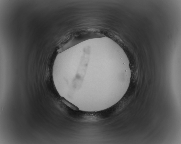 X0000084540704200703231714