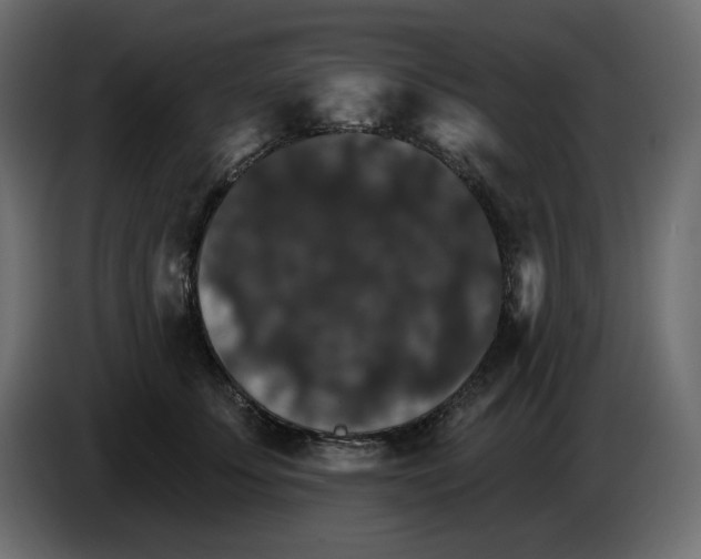 X0000084540707200703231714