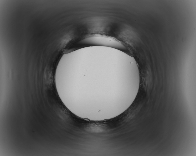 X0000084540708200703231714