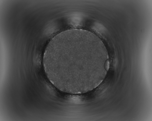 X0000084540710200703231714