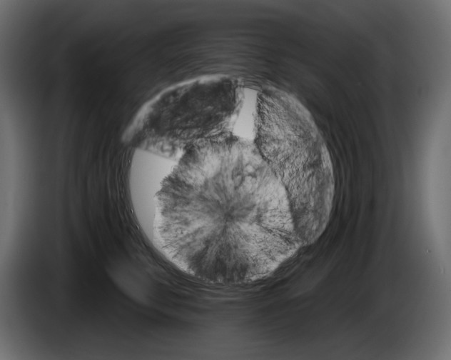 X0000084540711200703231714