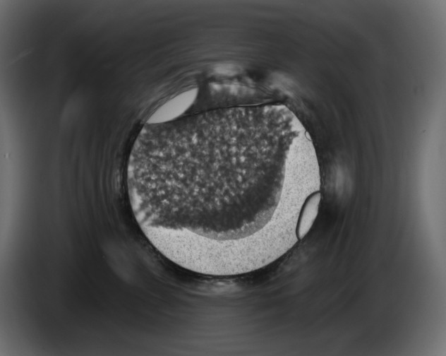 X0000084540715200703231714