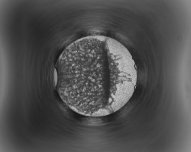 X0000084540719200703231714