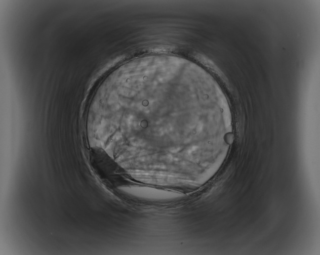 X0000084540721200703231713