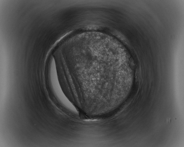 X0000084540722200703231713