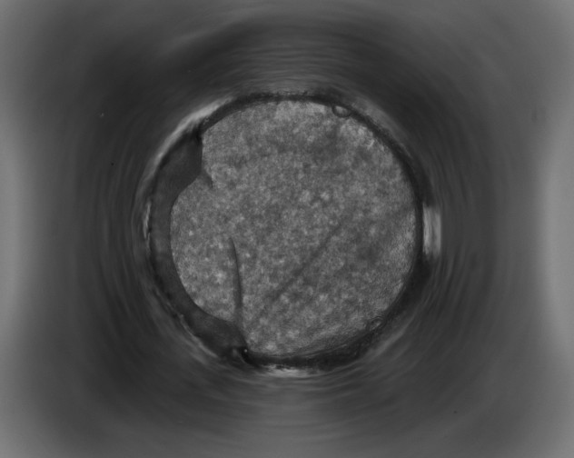 X0000084540723200703231713