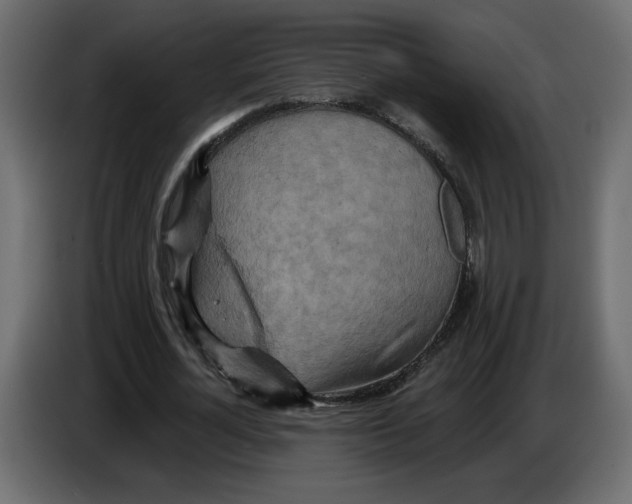 X0000084540724200703231713