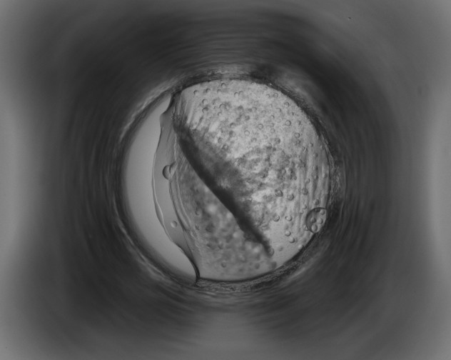 X0000084540725200703231713