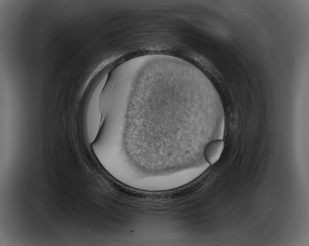 X0000084540727200703231713