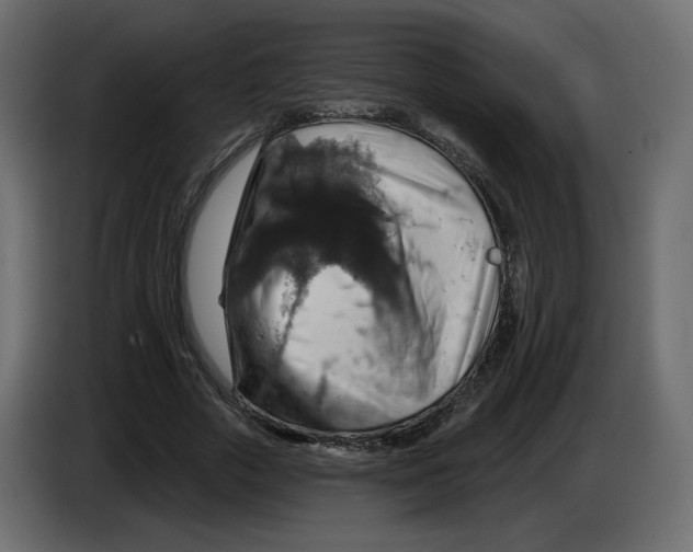 X0000084540729200703231713