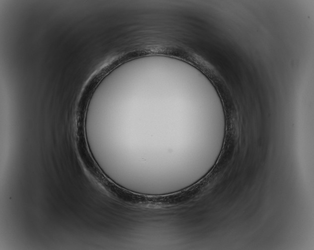 X0000084540730200703231713