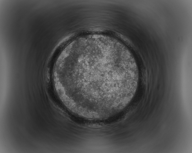 X0000084540731200703231713