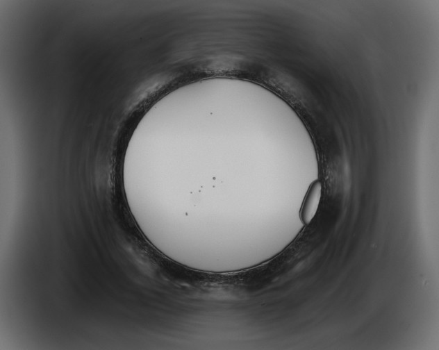 X0000084540732200703231713