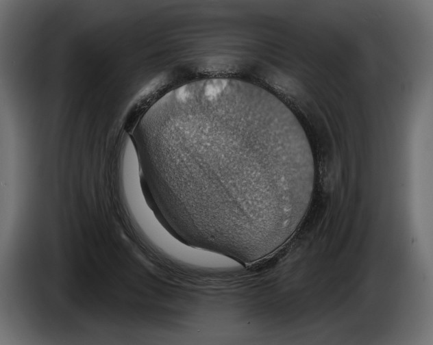 X0000084540735200703231714