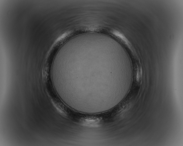 X0000084540736200703231714