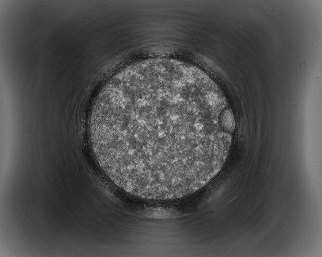 X0000084540737200703231714