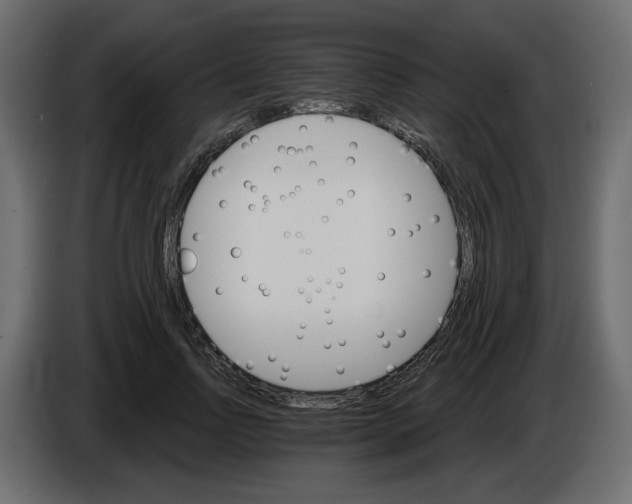 X0000084540742200703231714