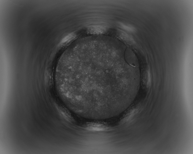 X0000084540743200703231714