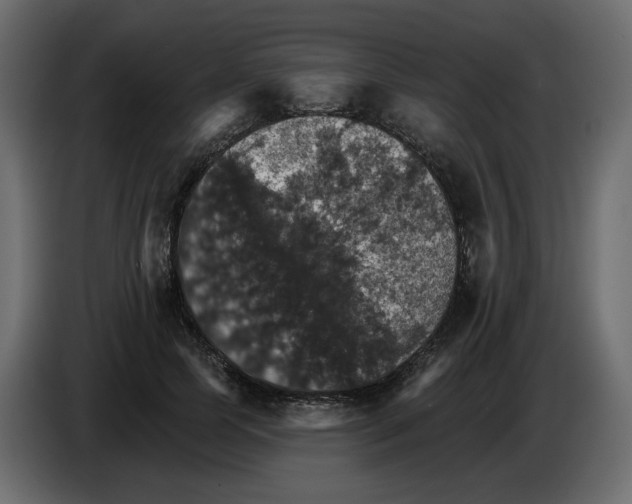 X0000084540745200703231714