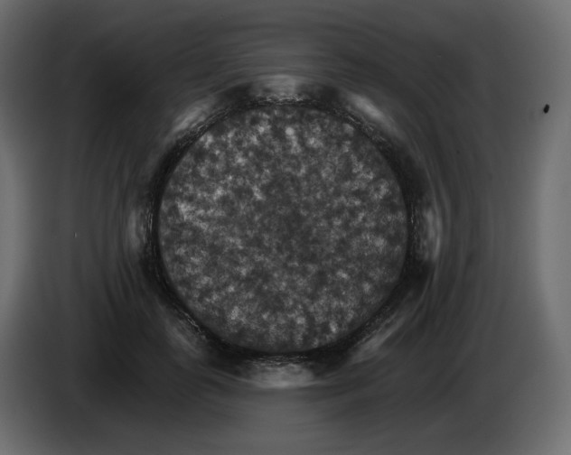 X0000084540747200703231714