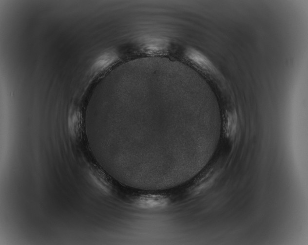 X0000084540748200703231714