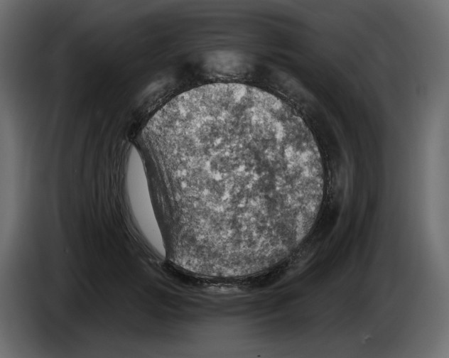 X0000084540749200703231714