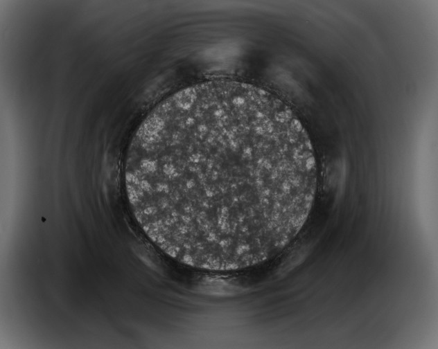 X0000084540753200703231714