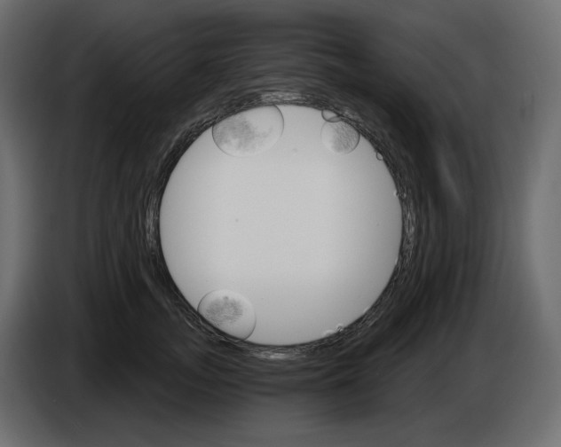 X0000084540755200703231714