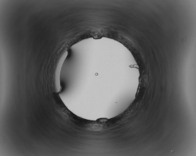 X0000084540756200703231714