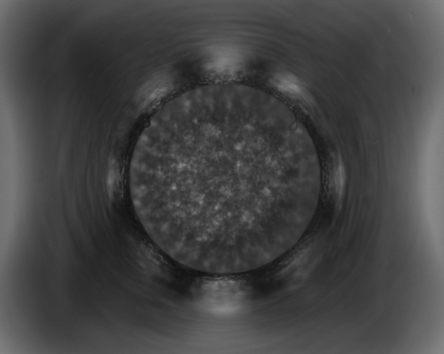 X0000084540759200703231714