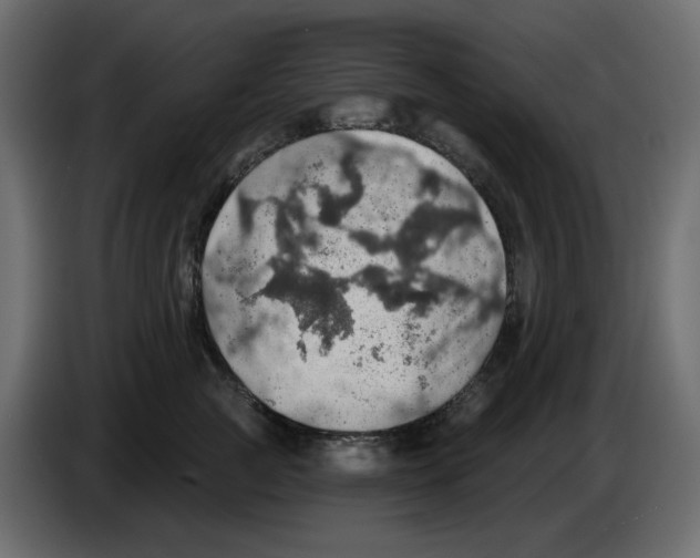 X0000084540761200703231714