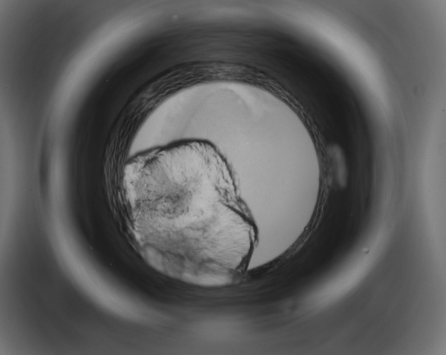 X0000084540765200703231714