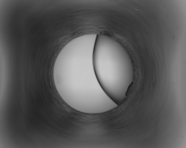 X0000084540768200703231714