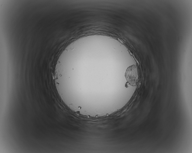 X0000084540769200703231713