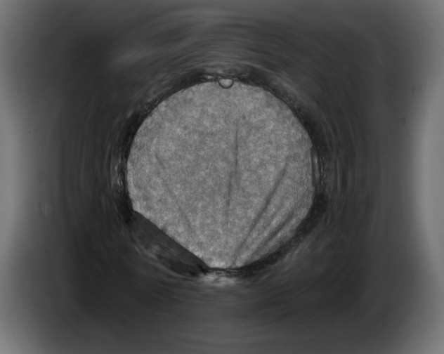 X0000084540770200703231713