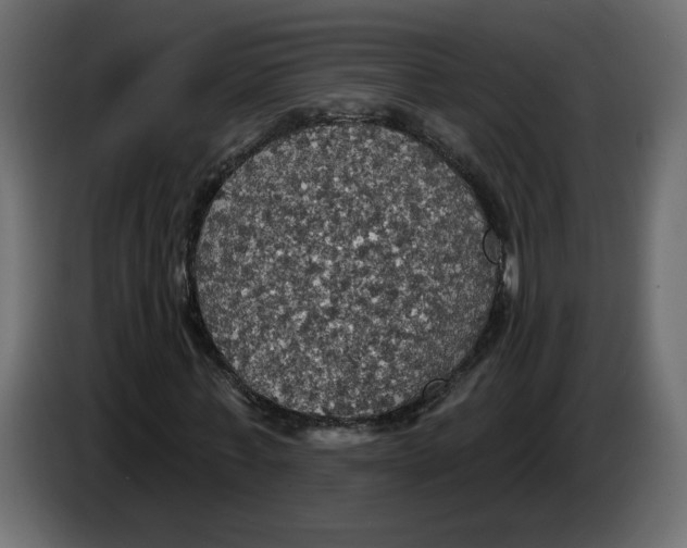 X0000084540771200703231713