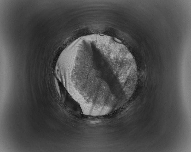 X0000084540772200703231713