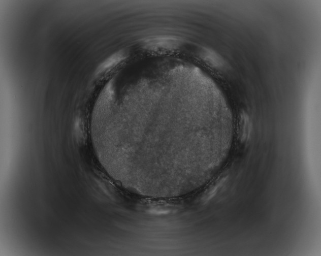 X0000084540774200703231713