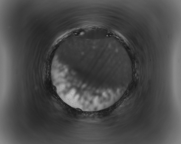 X0000084540775200703231713