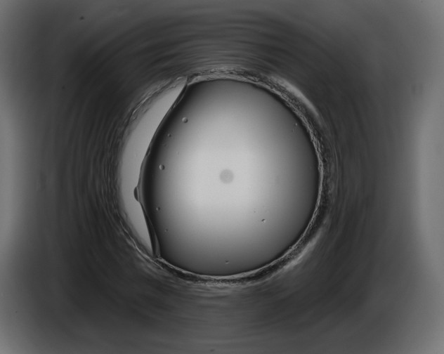 X0000084540777200703231713