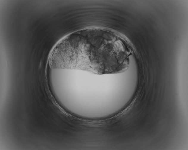 X0000084540780200703231713