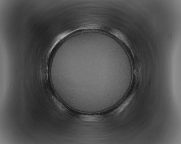 X0000084540781200703231713