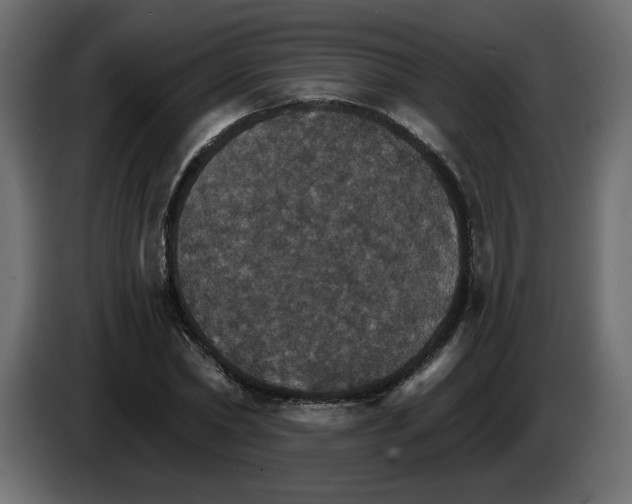 X0000084540782200703231713