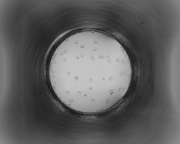 X0000084540784200703231713