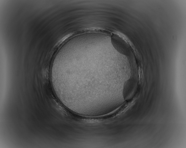 X0000084540785200703231713