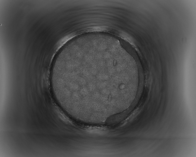 X0000084540786200703231713