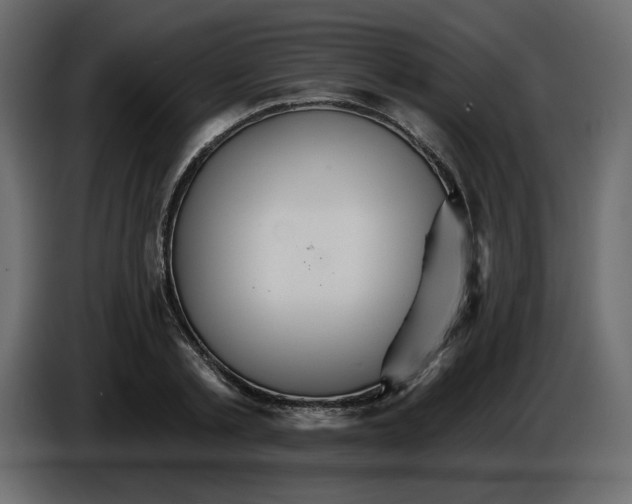 X0000084540789200703231713