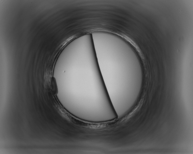 X0000084540793200703231713