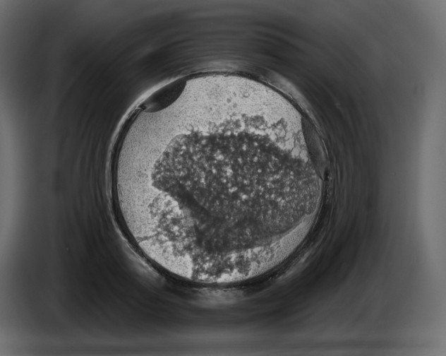 X0000084540795200703231713