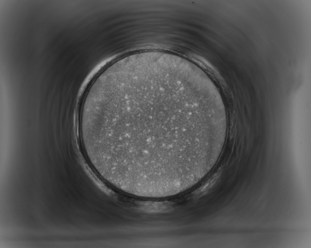 X0000084540796200703231713